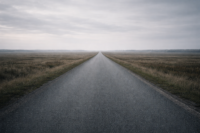 El erizo y el zorro: por qué muchos negocios no avanzan aunque no paren